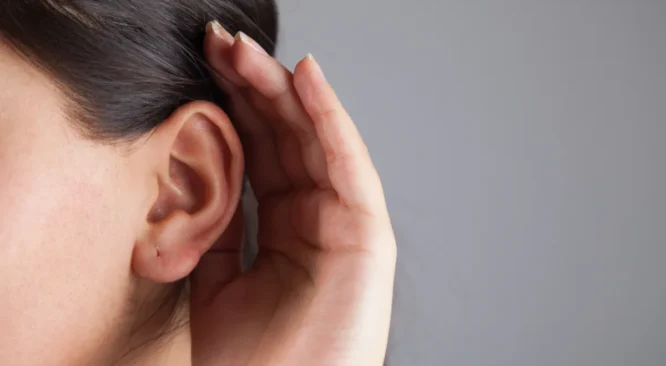 Entendendo o papel do tímpano no sistema auditivo